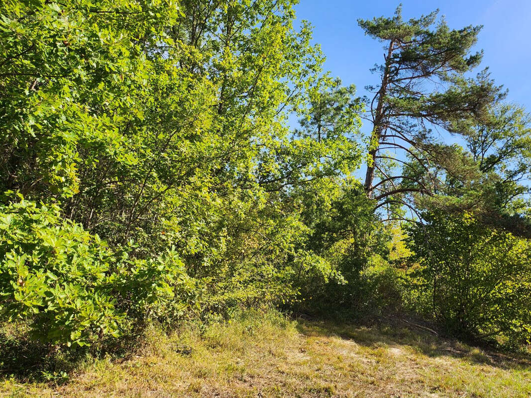 Maison à VILLAMBLARD