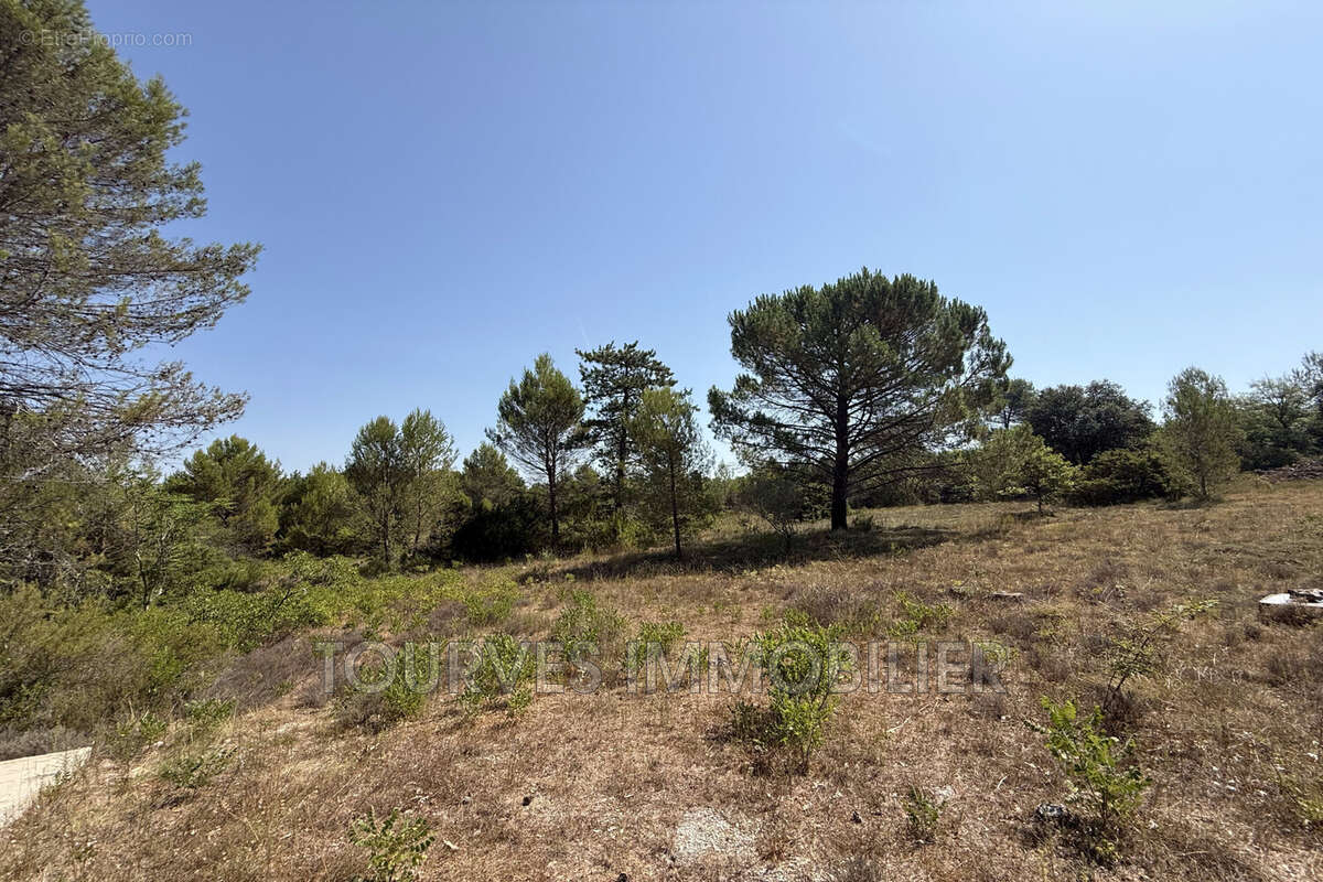 Terrain 6198 m² à Rougiers  - photo 3