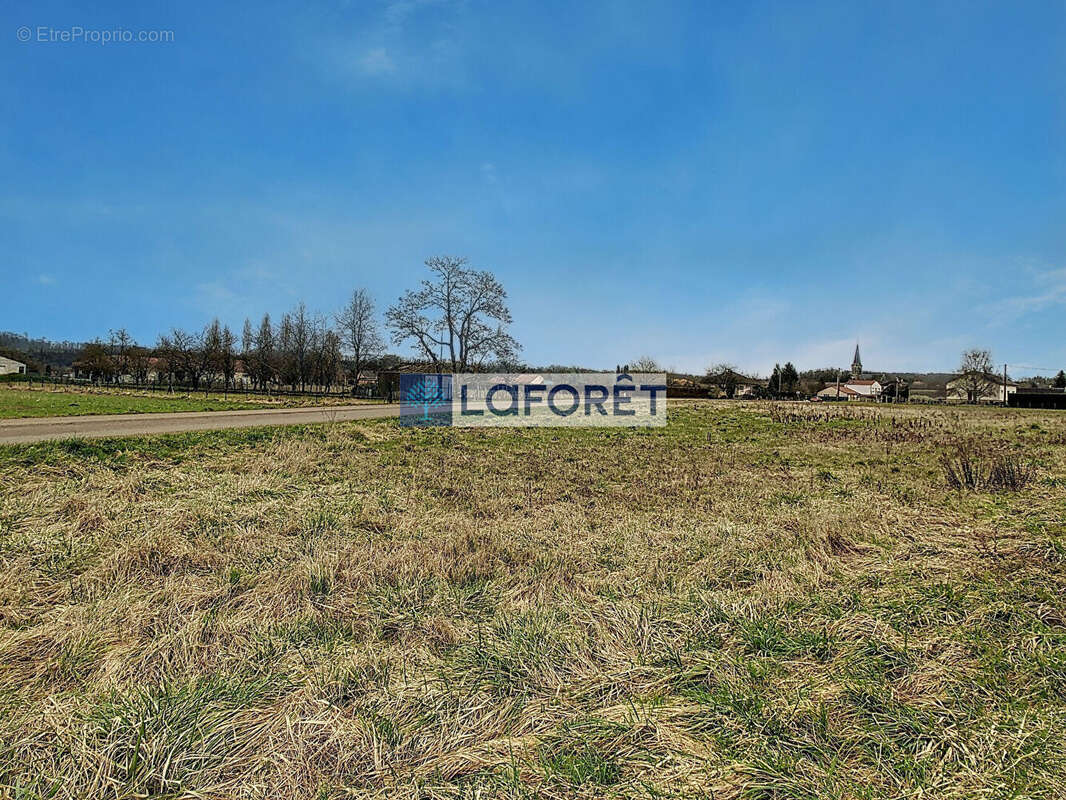 Terrain Roches Sur Marne 3404 m2 - photo 2