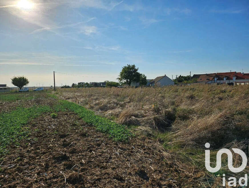Photo 4 - Terrain à MONNERVILLE