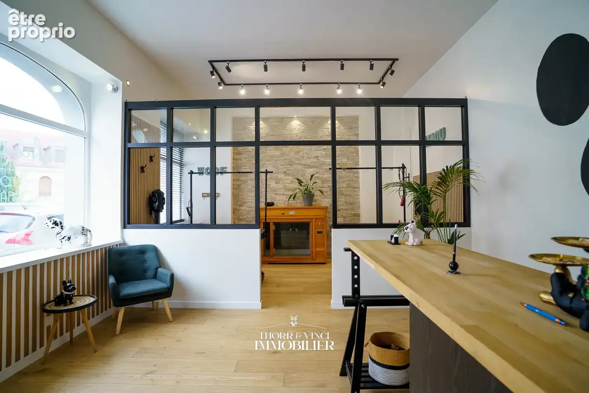 Local Professionnel- 55 m2 - Altkirch - photo 3