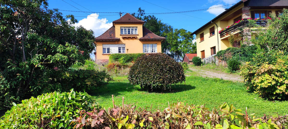 Maison à ROSHEIM