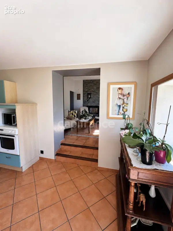 Maison à vendre 9 pièces POMMIERS LA PLACETTE (38) - photo 7