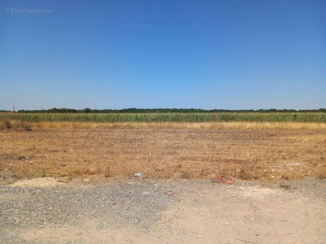 Terrain 325 m² à Courcon  - photo 2
