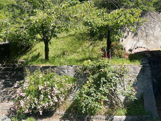 Maison à TENDE