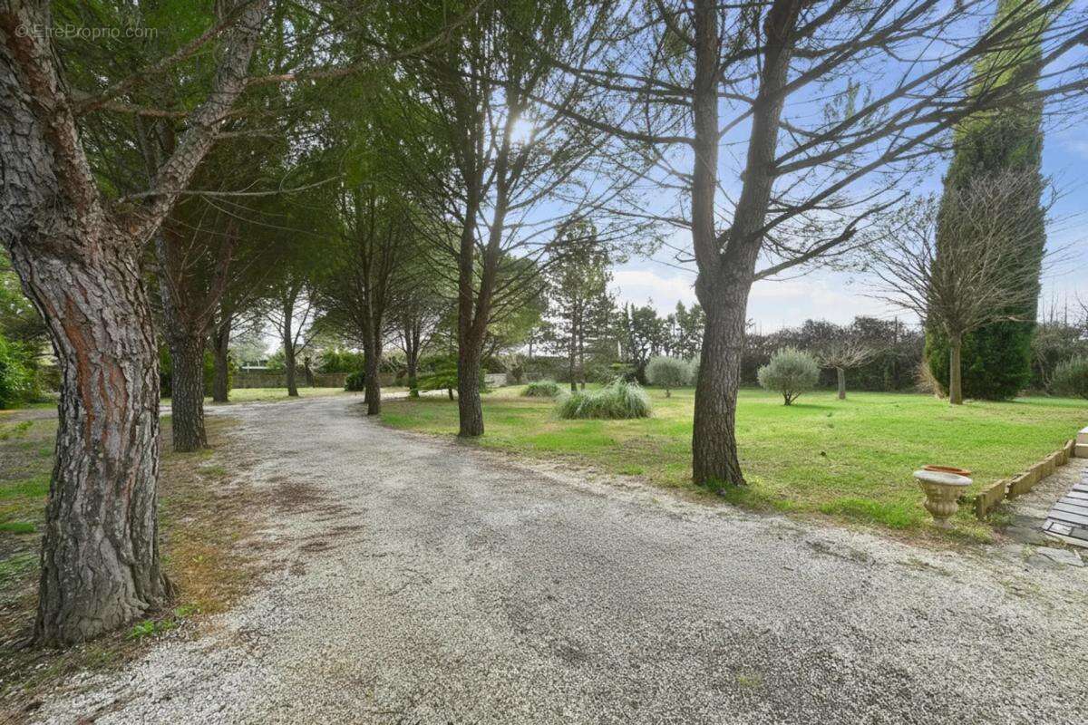 Maison à SAINT-HILAIRE-DE-BRETHMAS