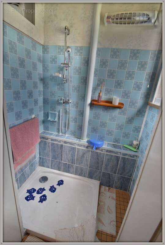 Appartement à vendre avec jardin, CORNIMONT 88 - photo 6