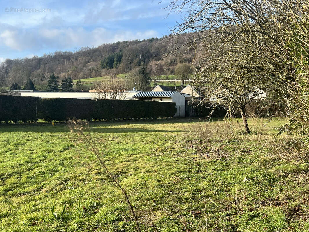 Terrain à TORCY-LE-GRAND