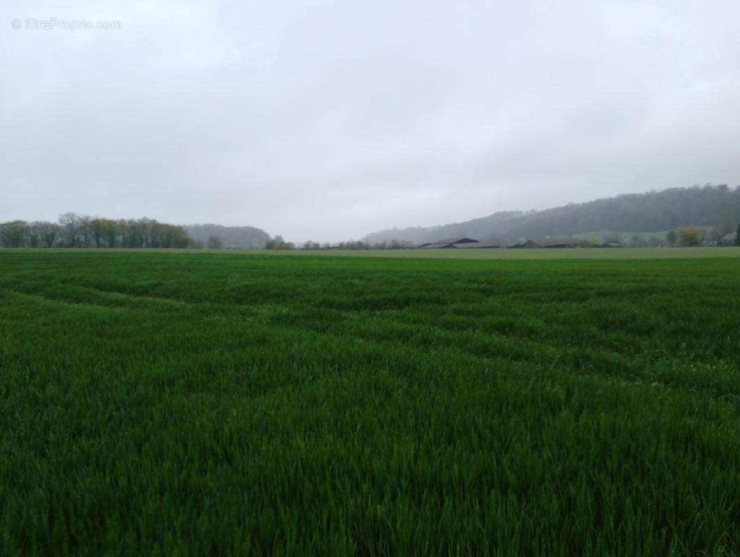 Terrain à SAINT-MARD-DE-RENO
