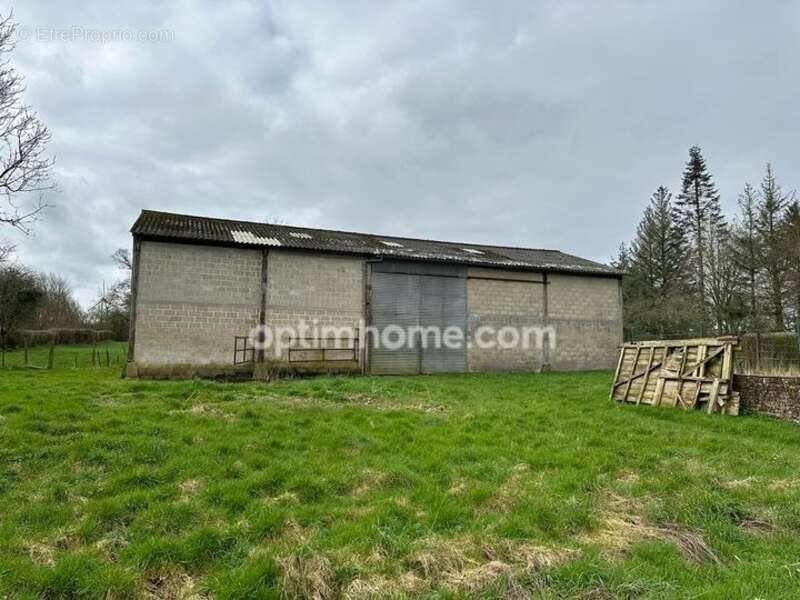 Longère à vendre 5 pièces VERCHIN (62) - photo 15