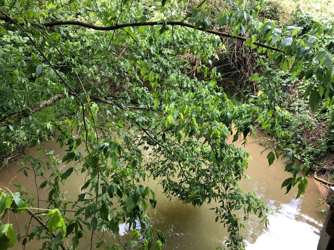 Maison à VERTEUIL-D'AGENAIS