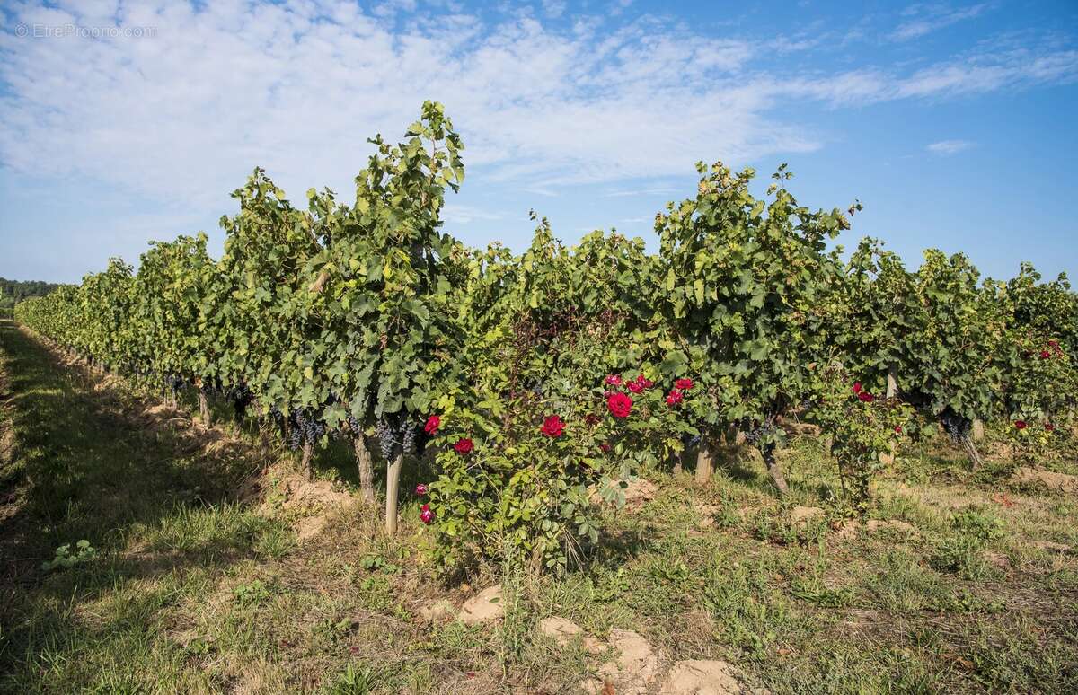 Maison à PUY-L'EVEQUE