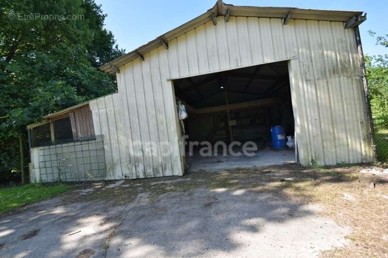 Maison 4 chambres - garage - dépendances - terrain clos 7079m2 à MARMANDE (47) - photo 16