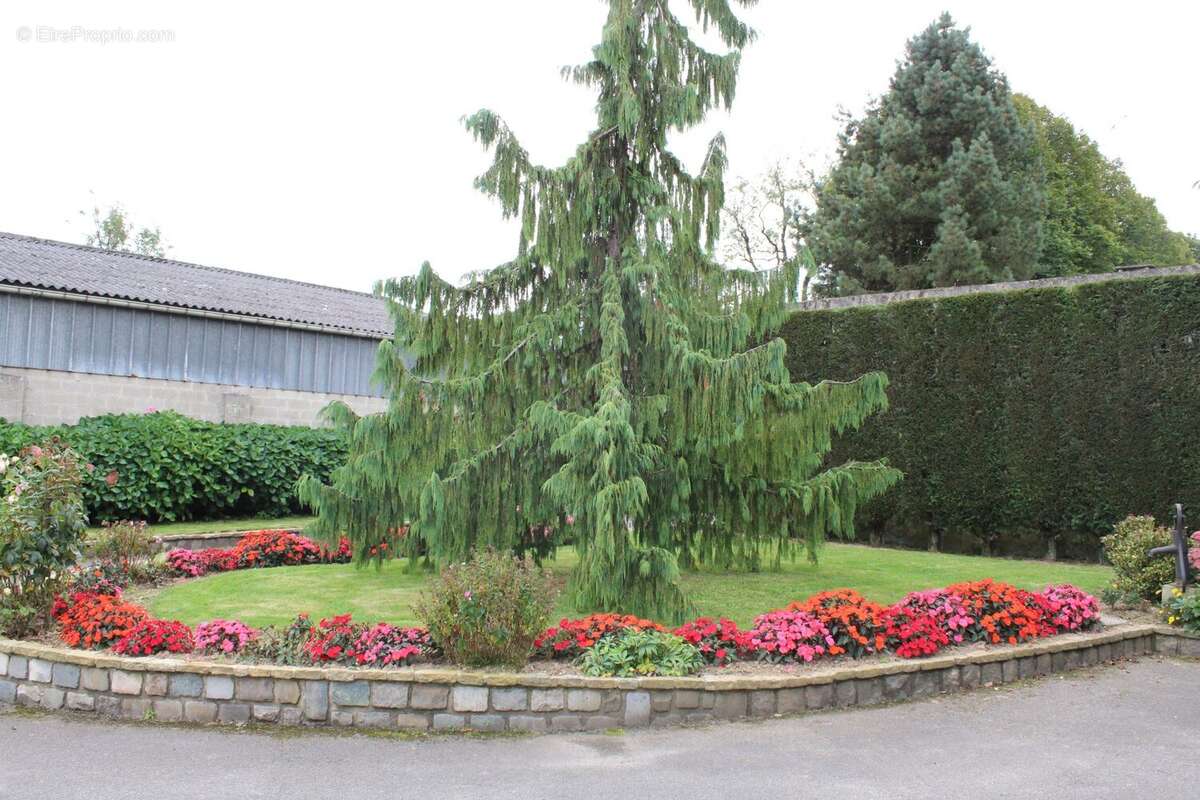 Maison à MANINGHEM