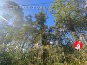 Terrain à ARBONNE-LA-FORET