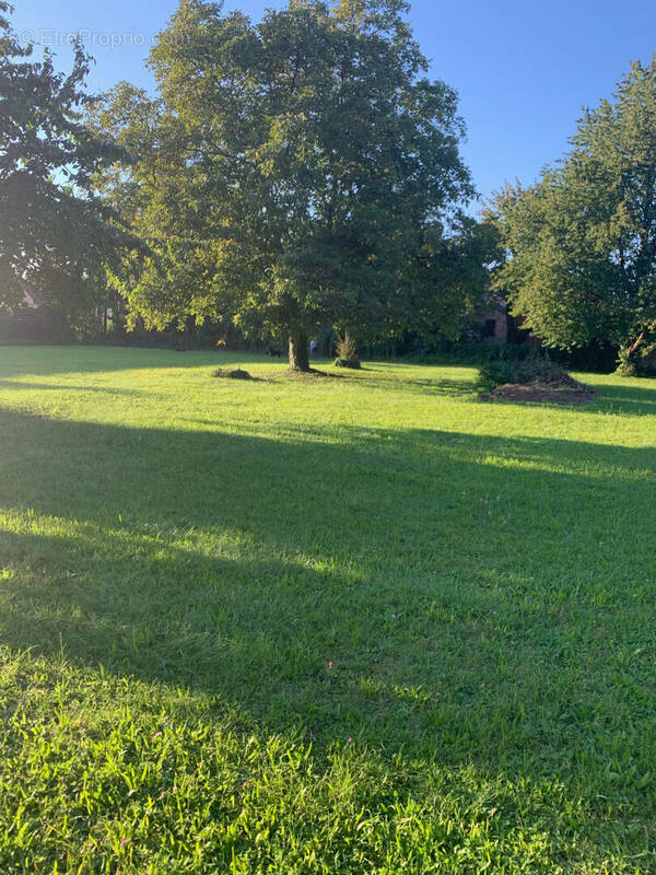 Terrain à WOLFISHEIM