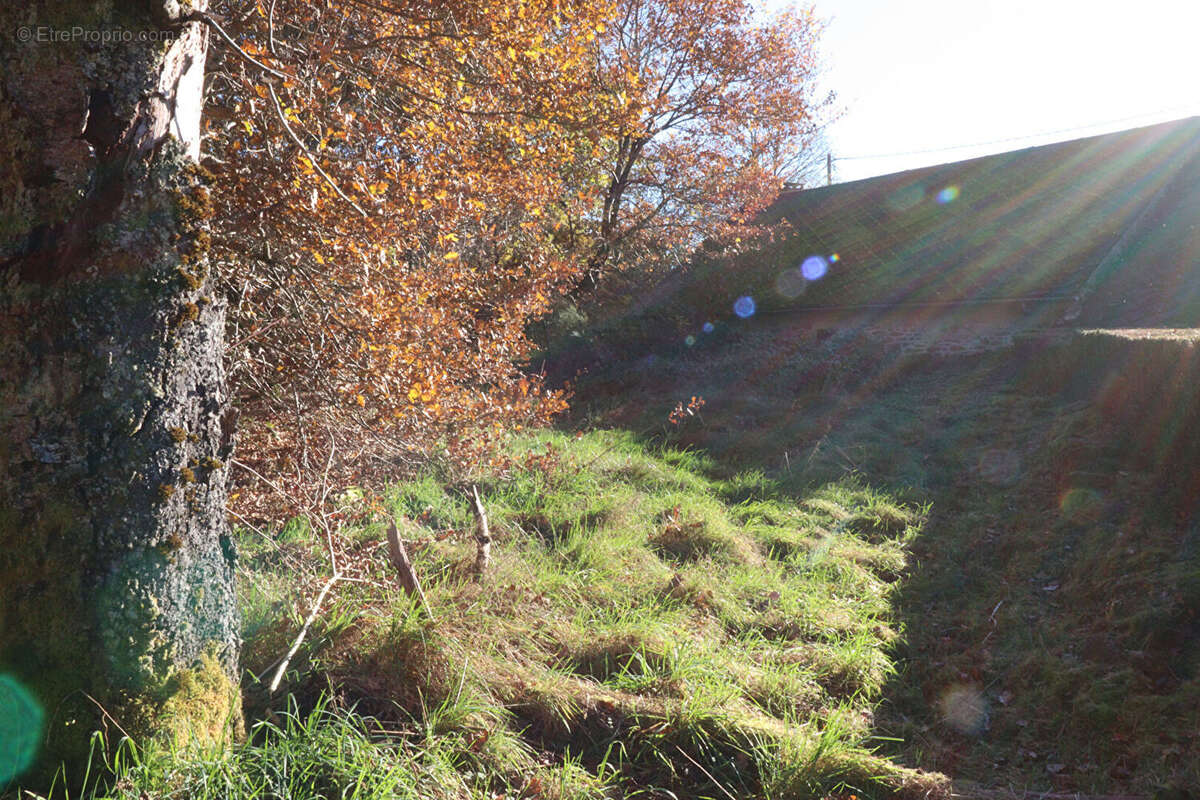 Autre à SAINT-AUGUSTIN
