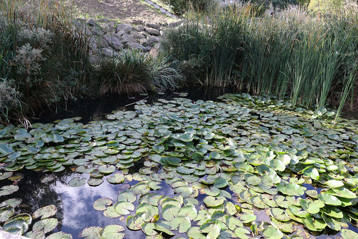 Appartement à MONTIGNY-LES-CORMEILLES