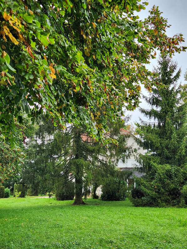 Maison à SAINT-ANDRE-LE-GAZ