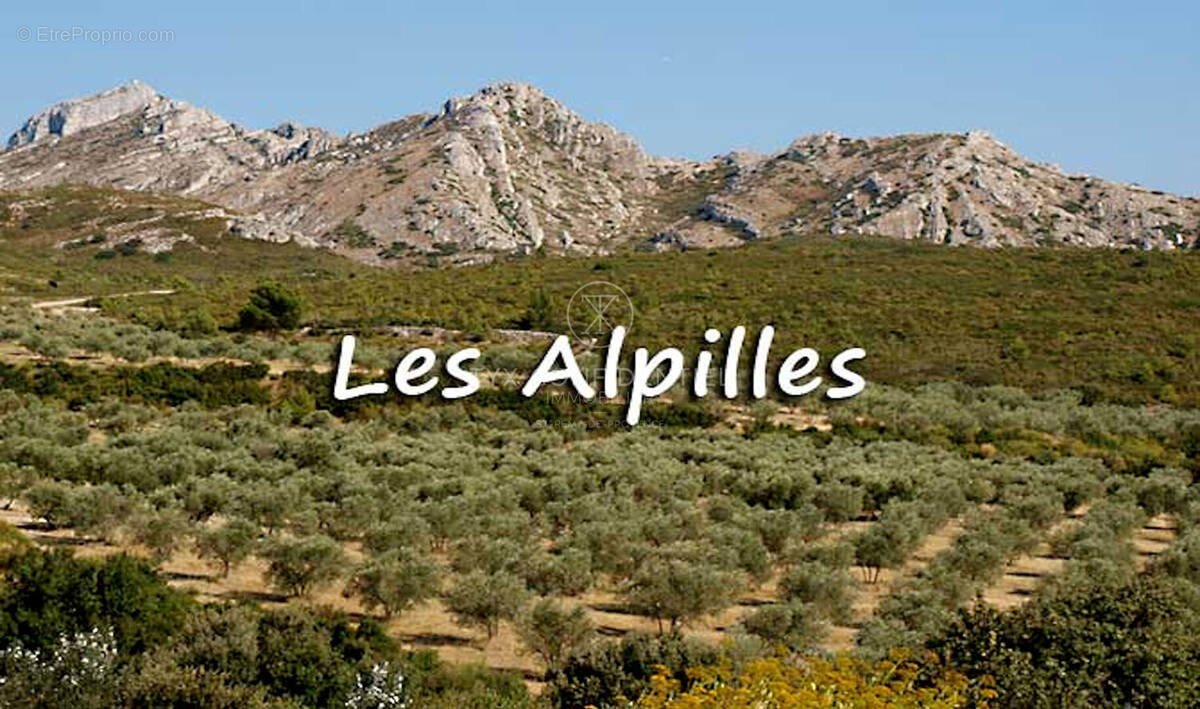 Appartement à SAINT-REMY-DE-PROVENCE