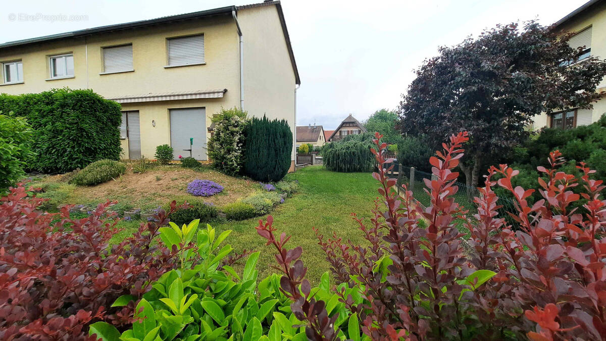Maison à RIXHEIM