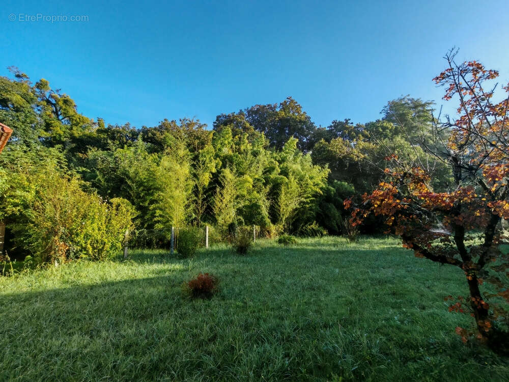Maison à PONTONX-SUR-L&#039;ADOUR