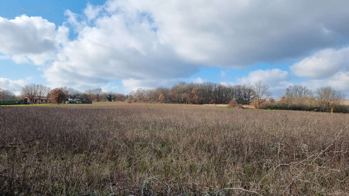 Terrain à L&#039;ISLE-EN-DODON