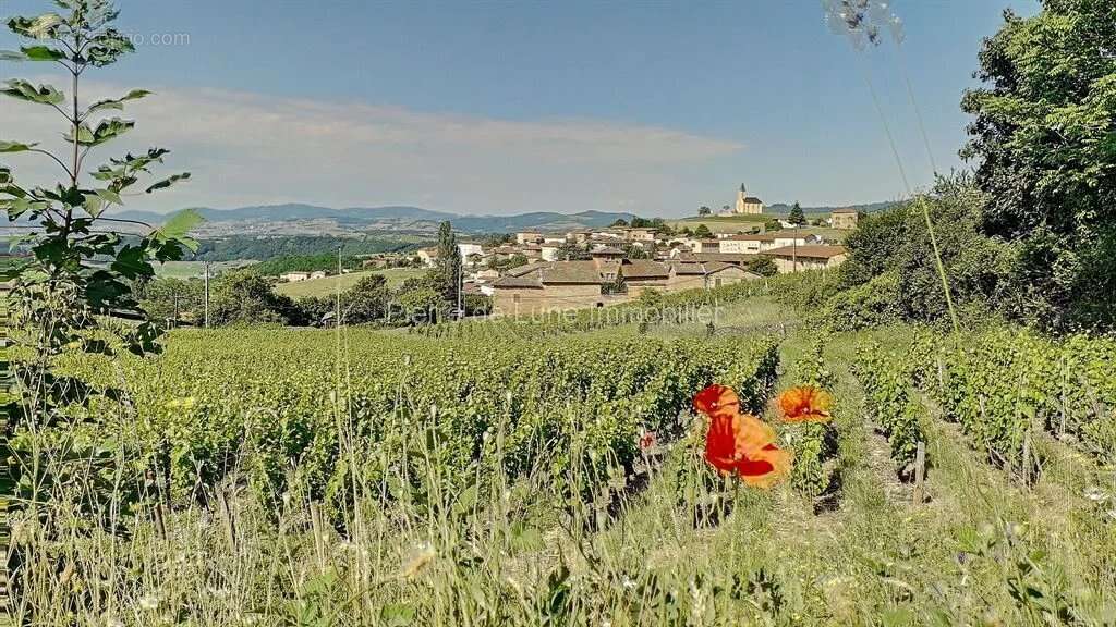 Appartement à SAINT-LAURENT-D&#039;OINGT