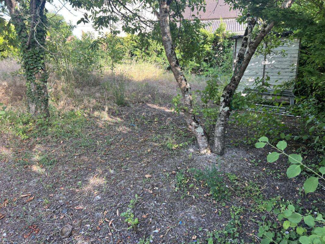 Maison à CHATELLERAULT