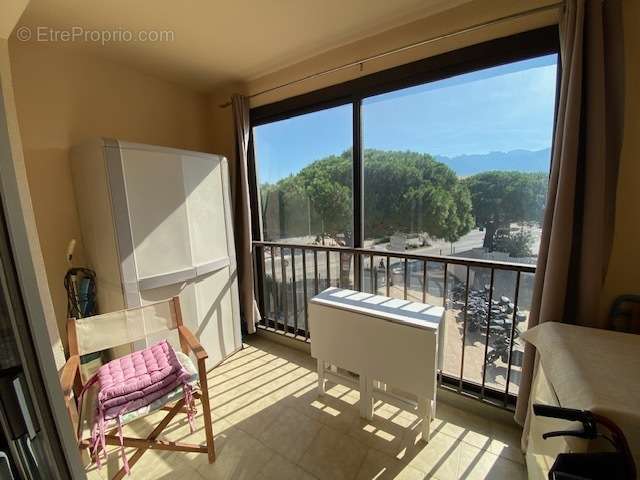 T3 centre de Calvi - vue mer   - photo 7