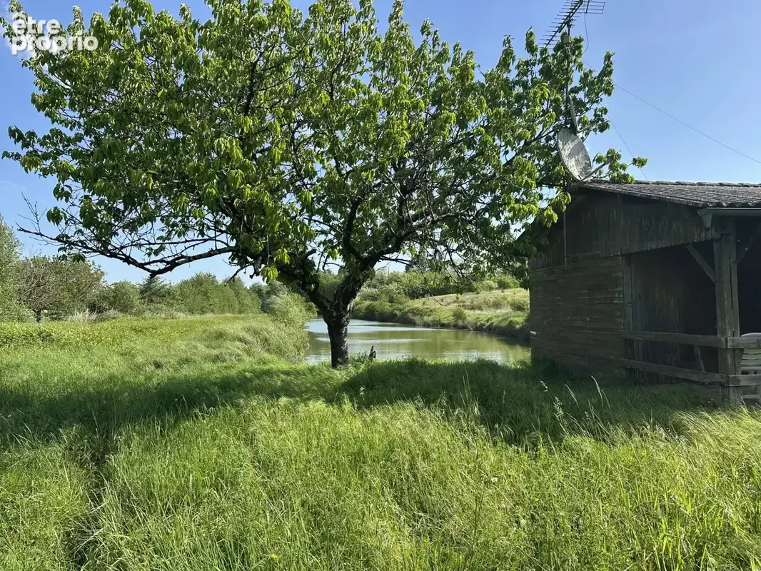 Terrain avec etang et cabane - photo 2