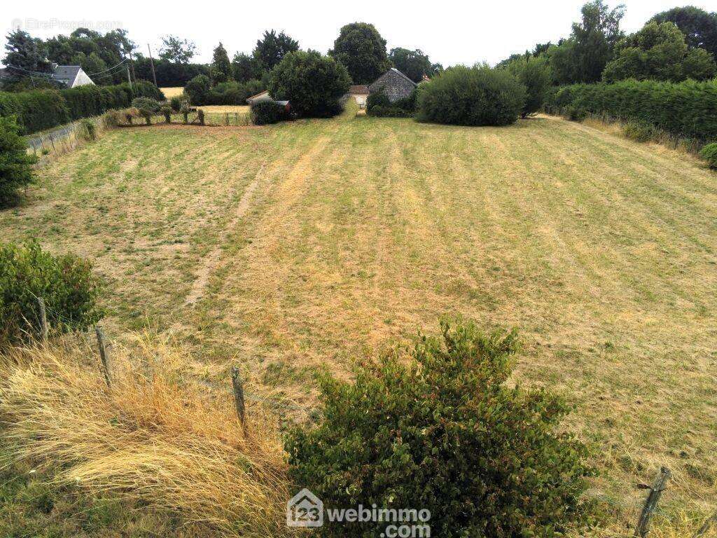 Profondeur 25 à 50 m, - Terrain à LEIGNE-SUR-USSEAU