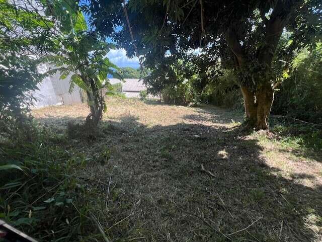 Terrain à SAINT-DENIS