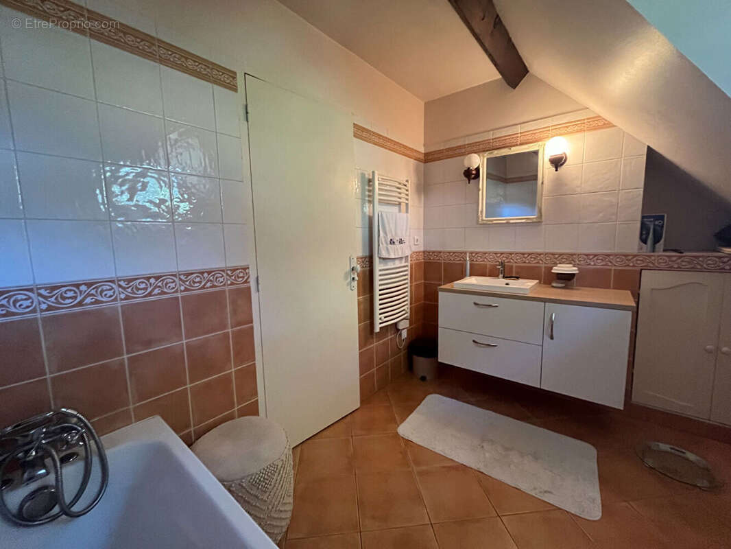 Maison Villefranche Sur Cher 6 pièce(s) - photo 11