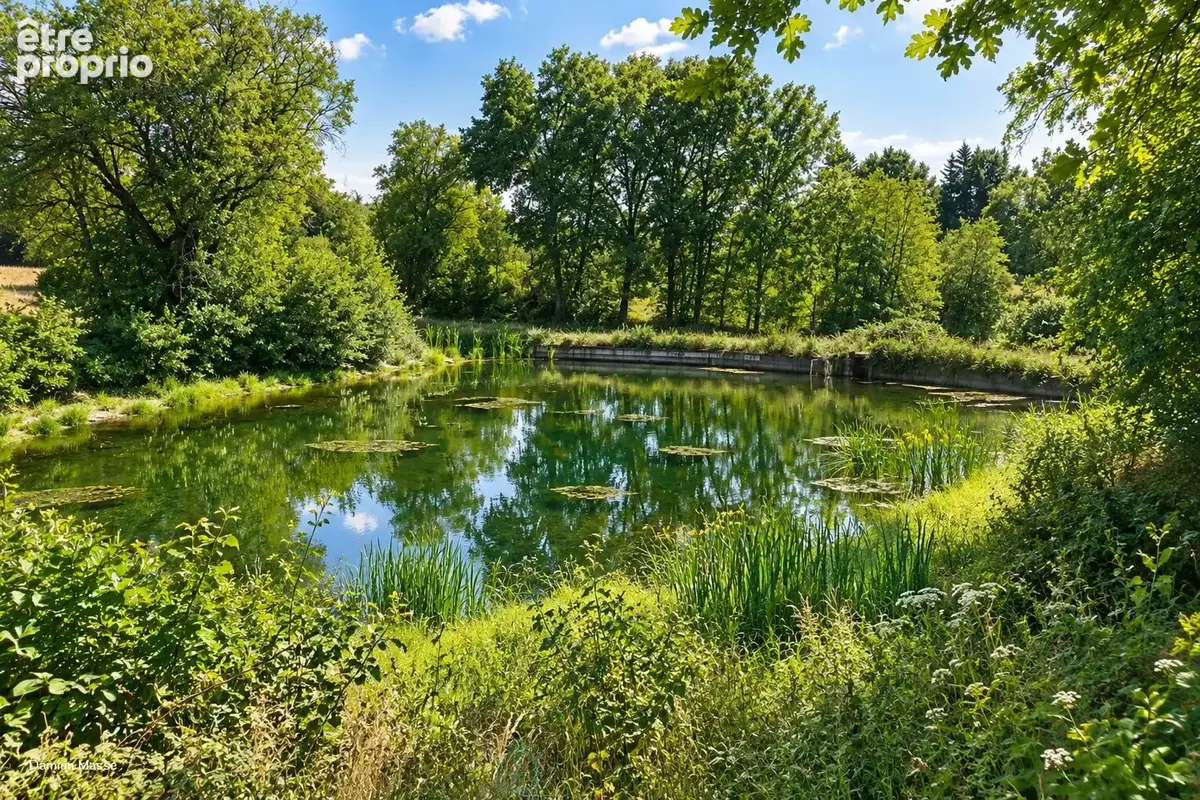 Ancien corps de ferme niché au coeur de 10 hectares de nature verdoyante et préservée, dans le Périgord vert. - photo 9