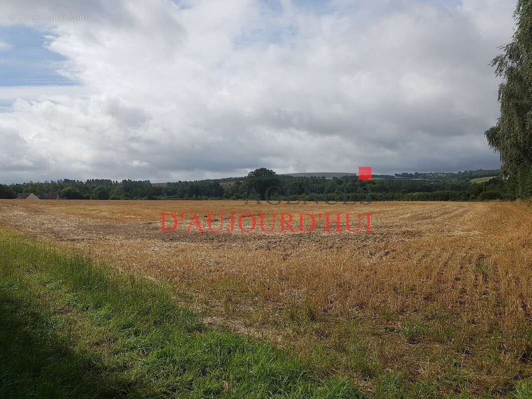 Terrain à VILLERS-BOCAGE