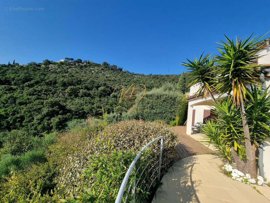 Pleine vue mer sans travaux calme absolu - photo 2