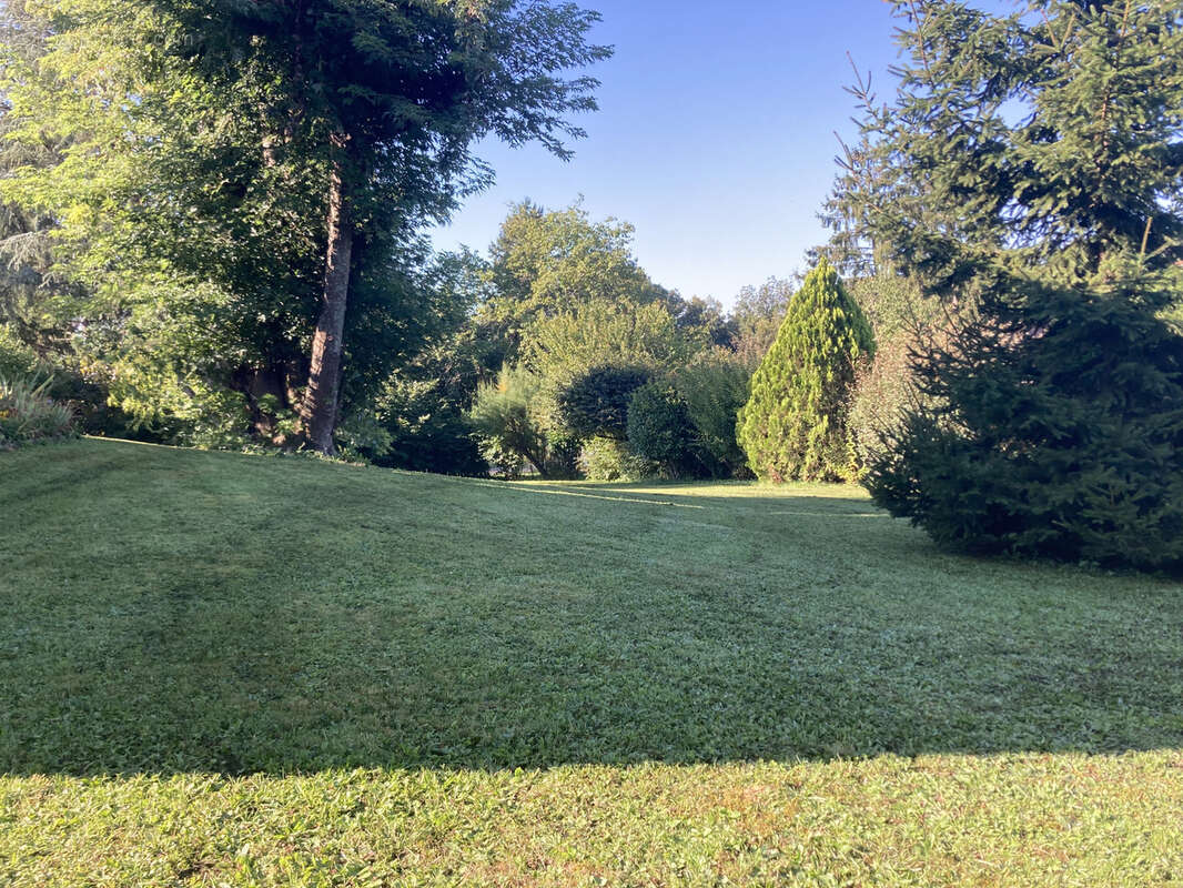 Maison à VILLIEU-LOYES-MOLLON