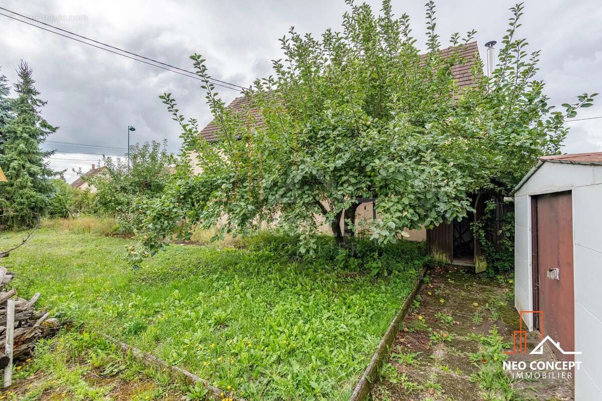 Maison à BISCHWILLER