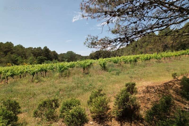 Commerce à CREISSAN