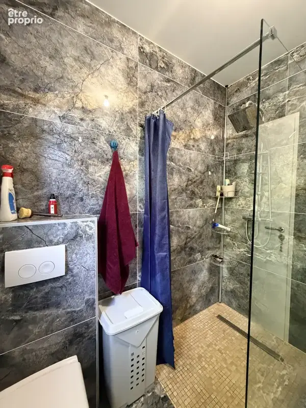Maison 7 pièces de 164 m2 avec un grand garage et une piscine. - photo 7