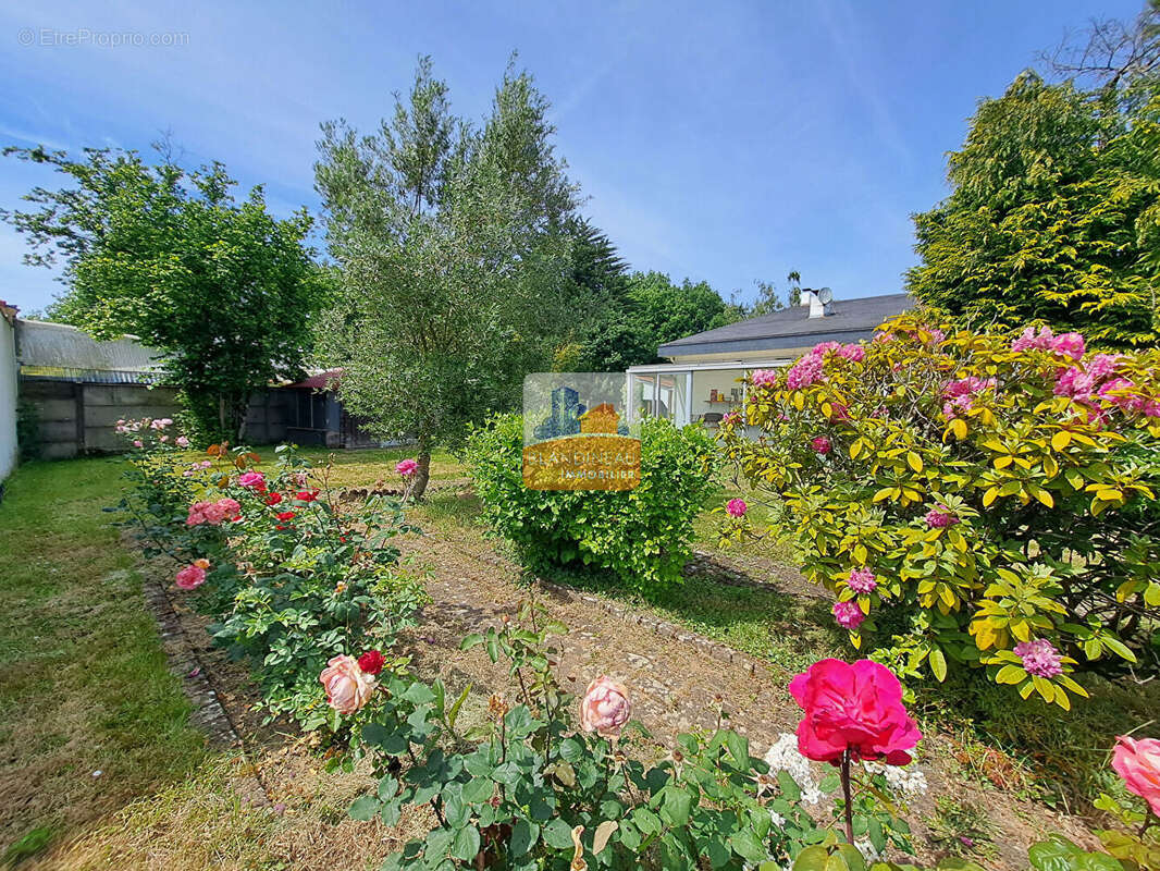 Maison à LA MONTAGNE