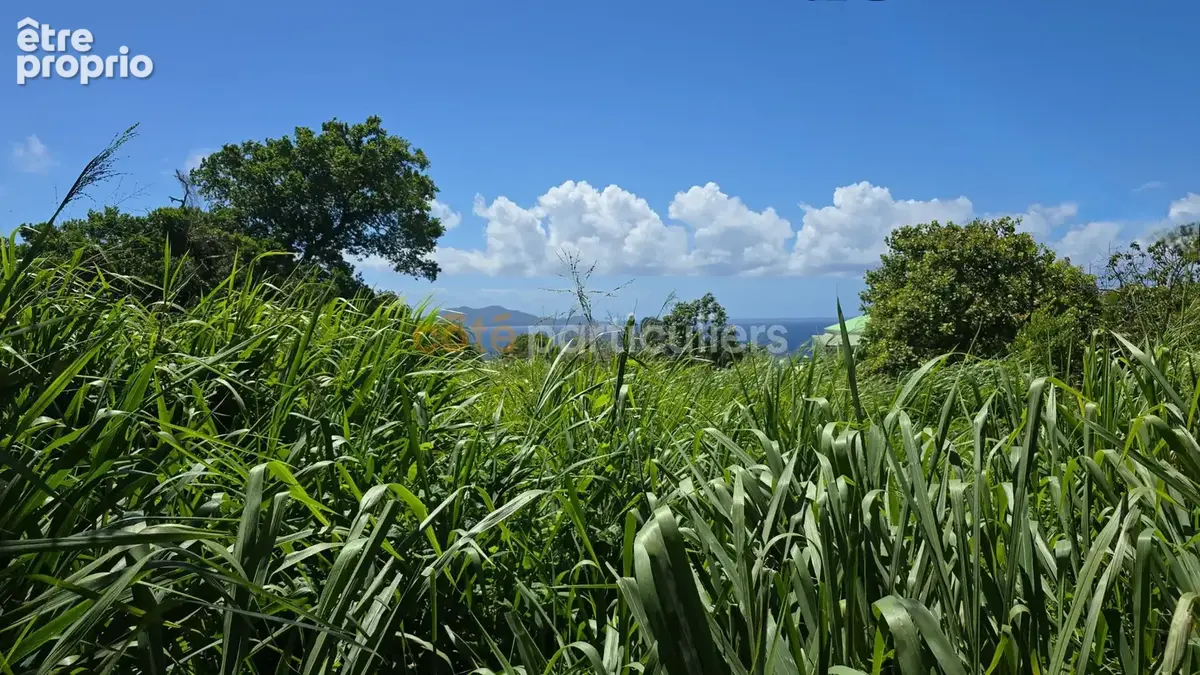 Terrain vue mer - trois rivieres - photo 3