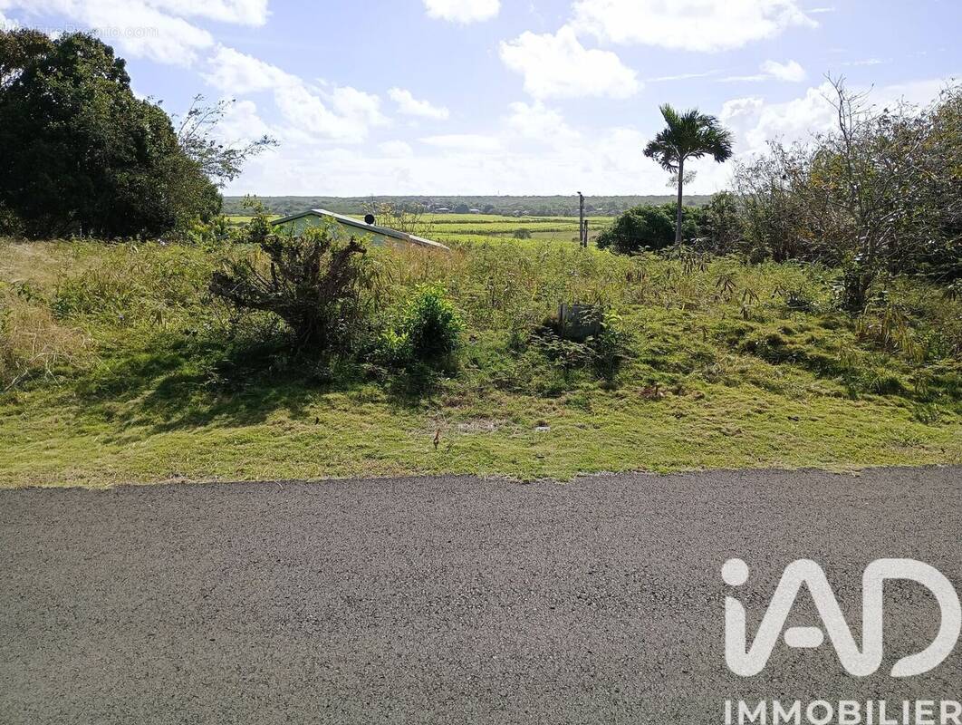 Photo 1 - Terrain à ANSE-BERTRAND