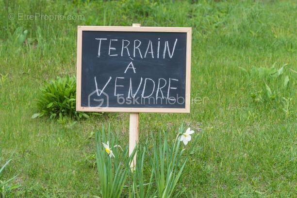 Terrain à SAINT-MAURICE-DE-GOURDANS