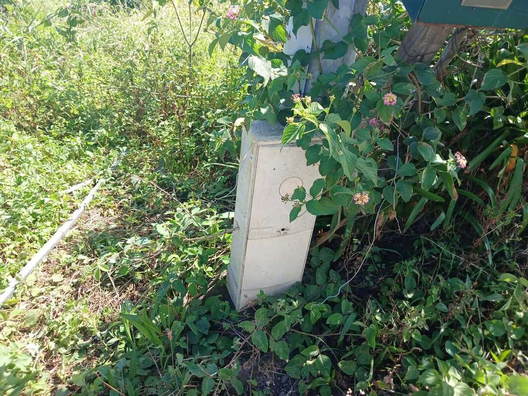 Terrain à LES TROIS-BASSINS