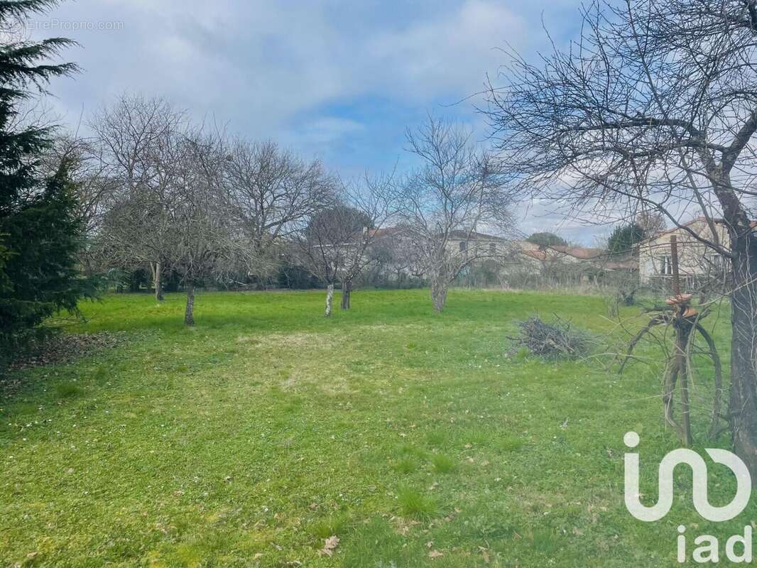 Photo 3 - Terrain à FENOUILLET