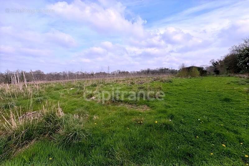 Terrain à PONT-AVEN