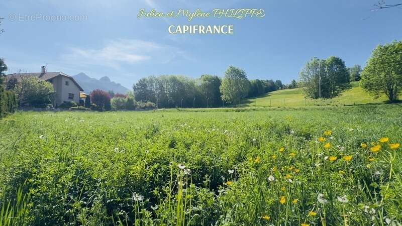 Terrain à ANCELLE