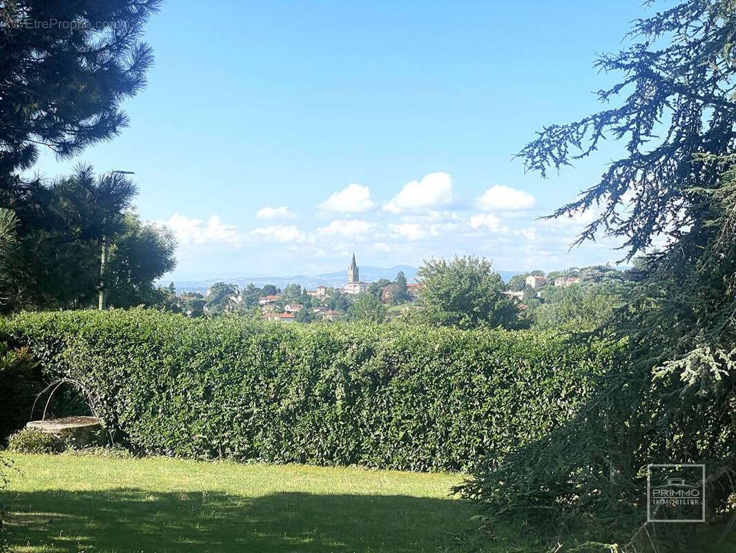 Terrain à SAINT-DIDIER-AU-MONT-D'OR